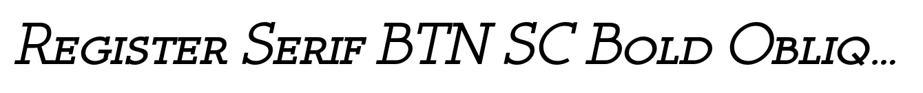 Register Serif BTN SC Bold Oblique image